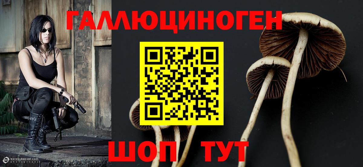 Псилоцибиновые грибы ЛСД Мытищи
